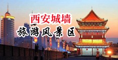 美女偷情被强奸的动态图片中国陕西-西安城墙旅游风景区